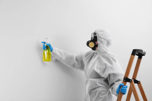 Livingston, MT Mold Removal Services Company