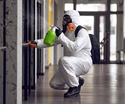 Mold Remediation for Rental Properties in Livingston, MT